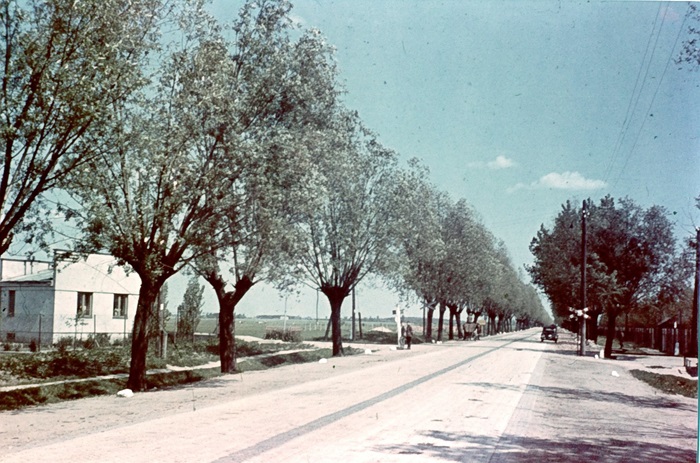 Ulica Warszawska, przejazd kolejki wąskotorowej, rok 1940, jeszcze bez budki dróżnika