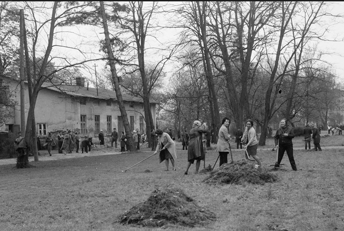 czyn_społeczny1