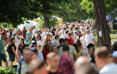 Miejski Dzień Dziecka w parku Garbolewskiego (26.05.2024 r.) 101