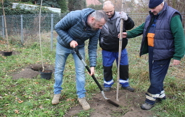 Akcja RośnieMY Razem 9.11.2024 12