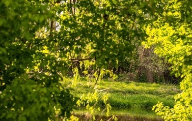 The Bzura River