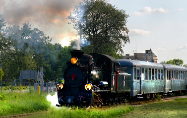 The Narrow-Gauge Railway Train on the Route