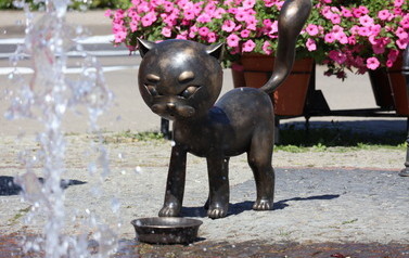The Boniface the Cat Statue in Kościuszko Square