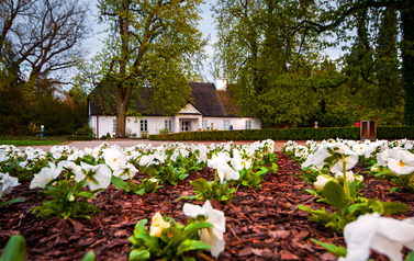 Fryderyk Chopin's Birthplace in Żelazowa Wola