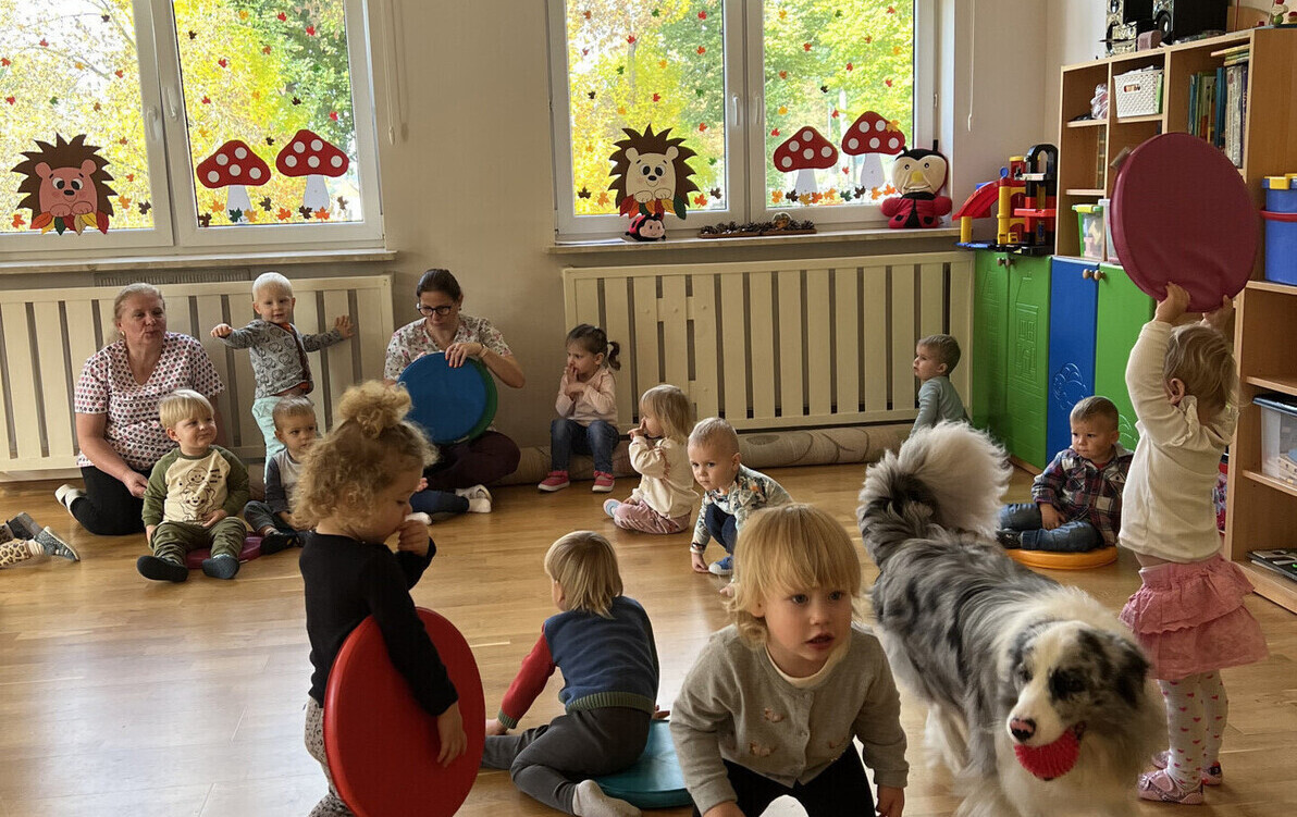 Zdjęcie do Dogoterapia w Miejskim Żłobku Integracyjnym 