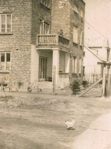 Zdjęcie do Przedwojenne wille i żydowski kirkut