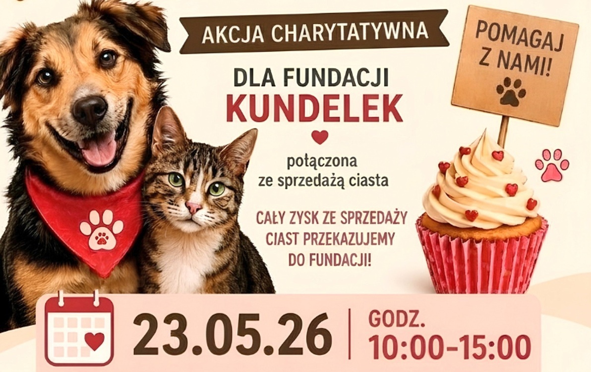 Zdjęcie do Przedszkolaki wspierają bezdomniaki