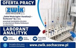 Zdjęcie do OFERTA PRACY
