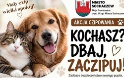 Zdjęcie do Zadbaj o swojego pupila