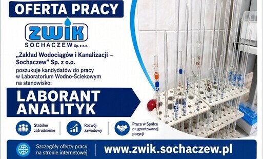 Zdjęcie do OFERTA PRACY