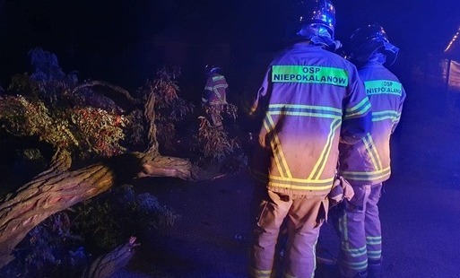 Zdjęcie do Pracowita noc strażak&oacute;w