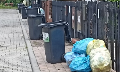 Zdjęcie artykułu z dnia 11-09-2026
